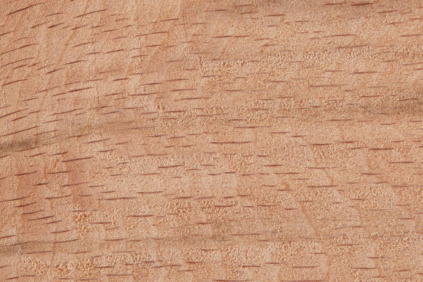 Close Up Of Wood Surface