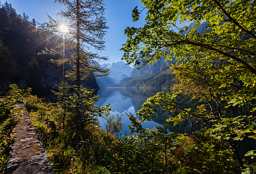 Herbert Lake in Autumn Morning, Canadian Rockies (Canada)