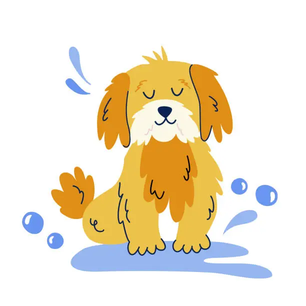 Vector illustration of Cute bathing dog in flat cartoon style. Vector isolated hand drawn illustration for sticker, banner, poster, postcard. Dog grooming concept