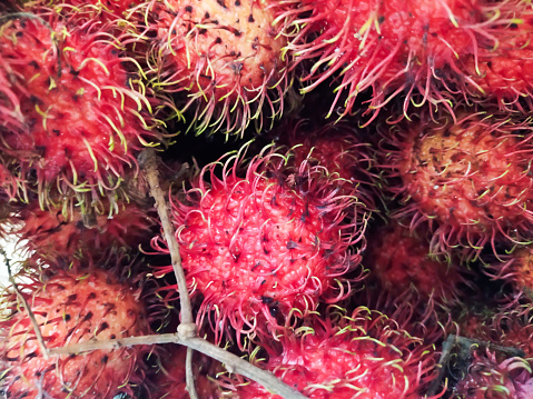 Plate of Fresh Peeled Ripe Rambutan with Whole Fruits on Wooden Table