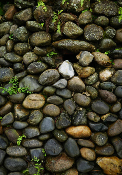 Background of wet pebbles wall with weeds growing in between