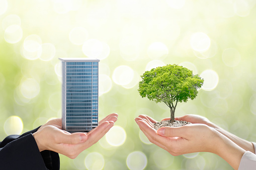 Woman's hand holding office building and tree