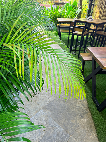 Stock photo of modern contemporary restaurant dining area with wooden picnic tables and benches set on artificial grass lawn flooring for decoration.