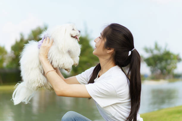 istock Woman relaxing with the dog at park. 1995037101