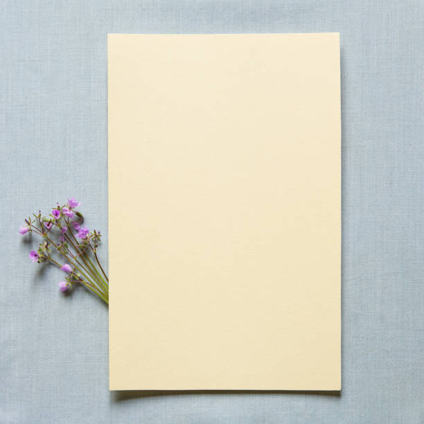 istock Invitation card template with flowers and blank card for text. Flat lay, top view, copy space. Romantic blank for women's, mother's day, birthday or wedding 1995046098