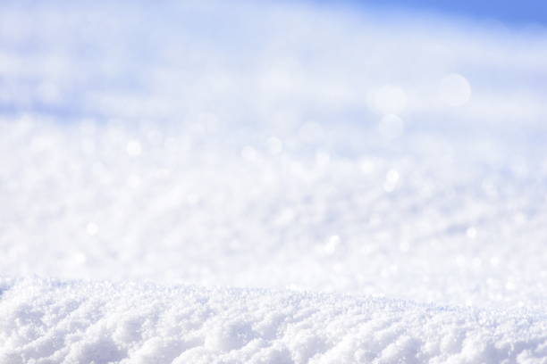 White snow closeup. Fluffy snow texture. Winter background with fresh snow . High quality photo