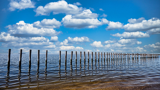 A row of old pilings in the Raritan Bay in New Jersey.