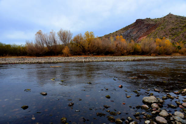 istock Salt River Recreation Area Arizona 1995086842