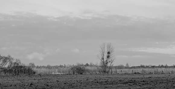 Landscape of a quiet, deserted Polish village in an old black and white photo