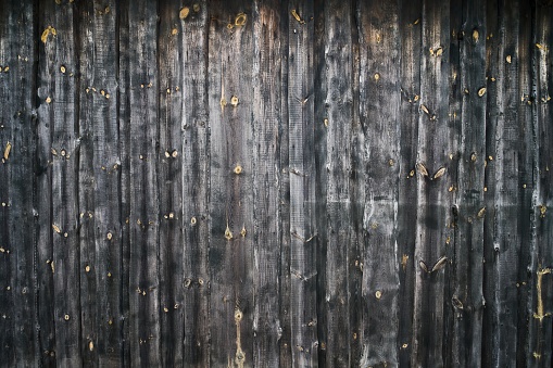 Ebony background texture, very high resolution. Black plank wall. Yellow bitches.