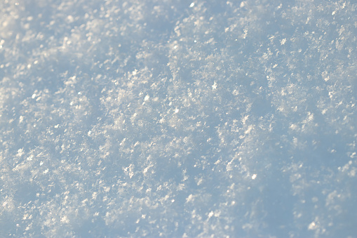 Many snowflakes on a snowfield. Close-up of snowflakes sparkling in sunlight in winter forest