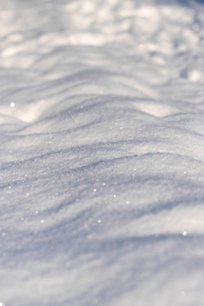 An untouched patch of snow in the forest. Small snowdrifts in the winter forest, snow glitters in the morning sun