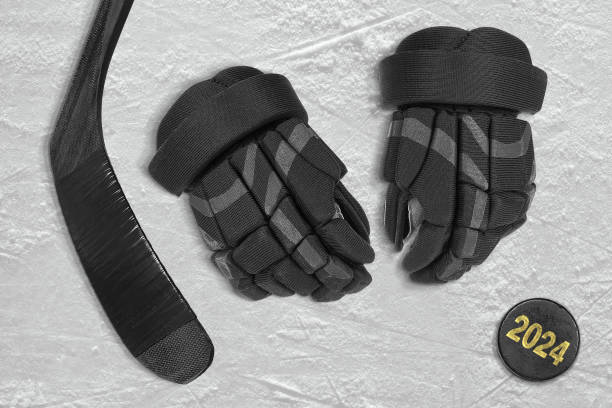 Hockey gloves, puck and stick