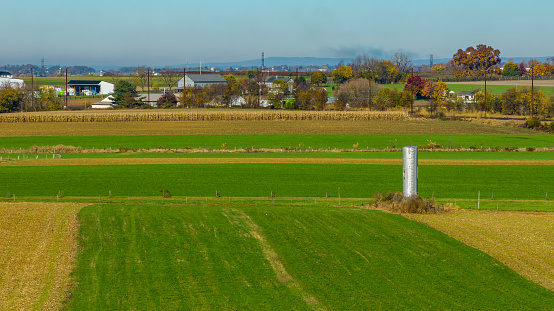 An Aerial View of Amish Farmlands in the Fall of Cover Crops and Feed Corn Needing Harvesting