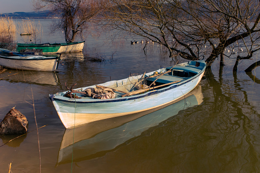Luxury Boat Moored in Sunny Autumn Harbor