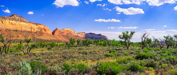 istock Rocks and Grassland along Highway 95, Utah 1995145743
