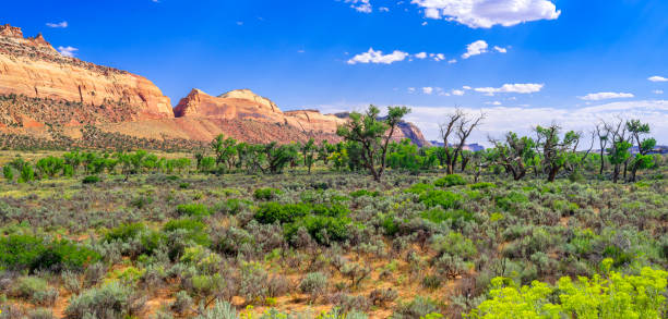 istock Rocks and Grassland along Highway 95, Utah 1995147967