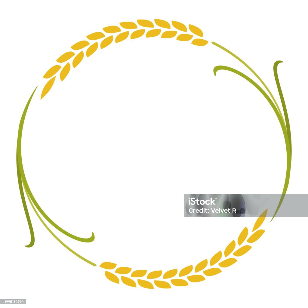 Frame Rice File Png Rice Frame Stock Illustration - Download Image Now - Agriculture ...