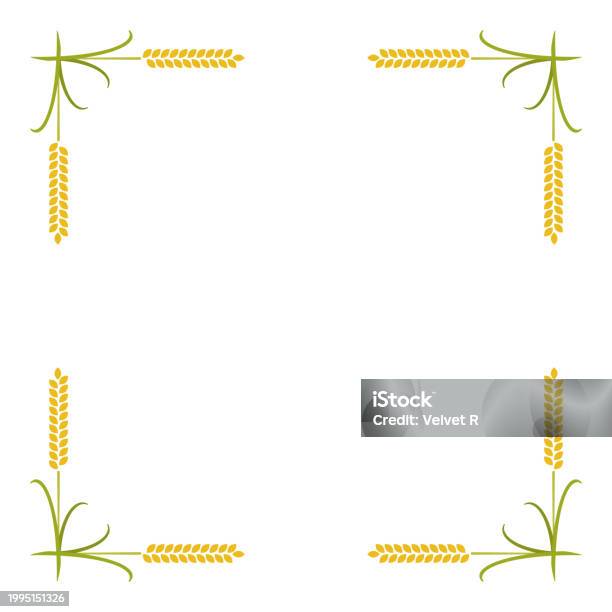 Background Frame Rice Rice Frame Stock Illustration - Download Image Now - Agriculture ...