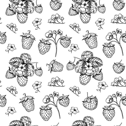 Strawberries, seamless pattern,  realistic sketches, vector illustrations, hand drawn, black outline on a transparent background