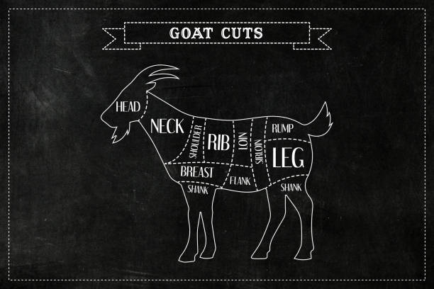 istock Butchers diagram guide for cutting Goat 1995199894