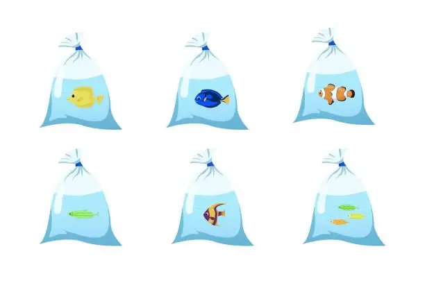 Vector illustration of aquarium fish in a plastic bag with water