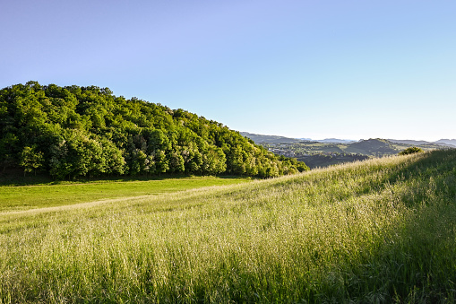 Italian hills with green meadow.