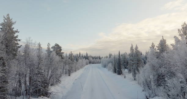 istock Snow-Covered Forest Path - Aerial View in Lapland, Finland 1995271319