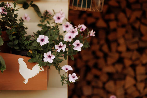 Vibrant pink flowers in a rustic basket, set against a backdrop of stacked firewood. Ideal for home decor or spring renewal concepts. Plenty of copy space.