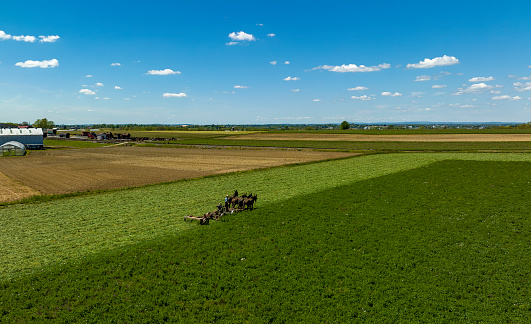 An Aerial View of an Amish Farmer Cutting Mowing Crops Using Four Horses and a Gas Engine and With the Countryside in View on a Beautiful Summer Day