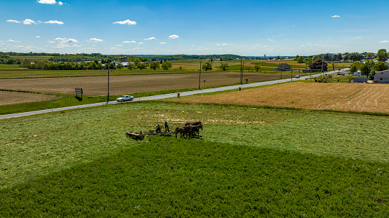 An Aerial View of an Amish Farmer Cutting Mowing Crops Using Four Horses and a Gas Engine and With the Countryside in View on a Beautiful Summer Day