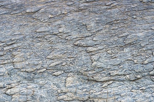 A captivating close-up view of a flat, textured rock surface, perfect for use as a detailed background. Intricate geological patterns, adding depth and texture to any design project.