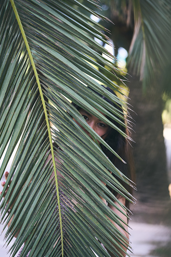 Unrecognizable mystery asian young woman hiding behind a big palm tree leaf.
