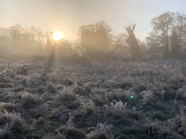 istock Frosty Sunrise Southern England 1995322572