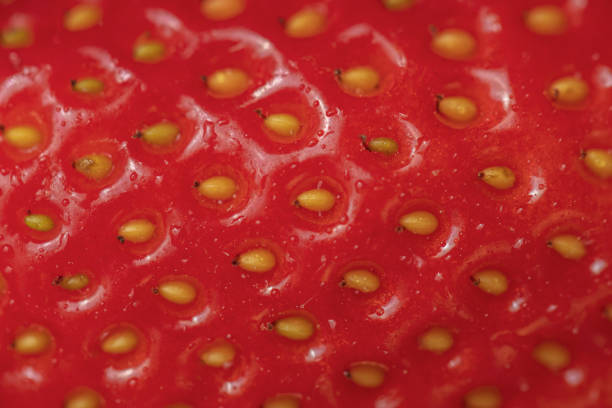 Ripe red strawberries on a plate. Several strawberries in bright summer light, freshly picked from the garden. Moscow, Russia.