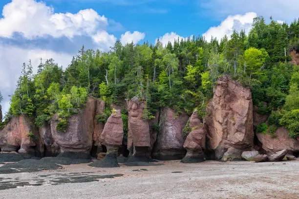 Photo of The flowerpot rock formations at Hopewell Rocks, Bay of Fundy, New Brunswick. The extreme tidal range of the bay makes them only accessible at low tide