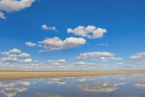 Scenic sunlight landscape, shore of salt lake, water surface and reflections sky with clouds. Mirror reflex on water. Beautiful aesthetic nature view. Ulzhay (Uldjay) lake in Omsk region, Russia.