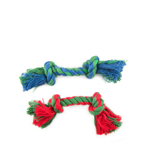 Dog toys (set of ropes) isolated on a white. There is free space for text.