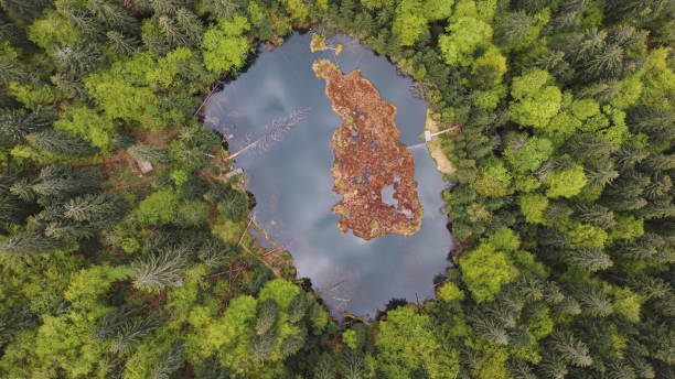 istock Alpine lake. Carpathian Mountains. Ukraine. Europe 1995358934
