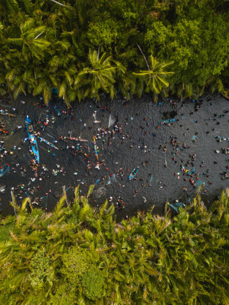 istock Sasi Lompa Tradition in Haruku Island Central Maluku 1995382002