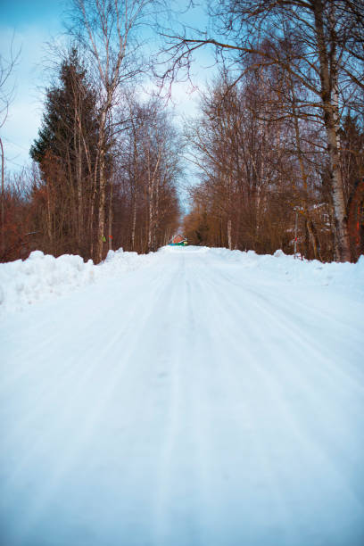 Winter snowy road. Trees along the road
