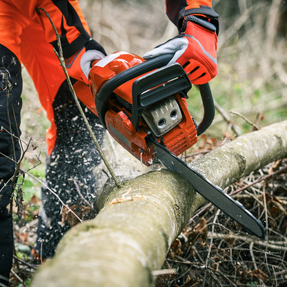Man holding a chainsaw and cut trees. Lumberjack at work wears orange personal protective equipment. Gardener working outdoor in the forest. Security professionalism occupation forestry worker concept
