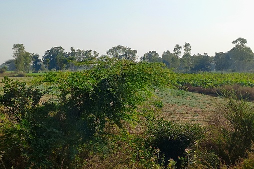 Agricultural, Dehagam to Bayad Road, Gujarat