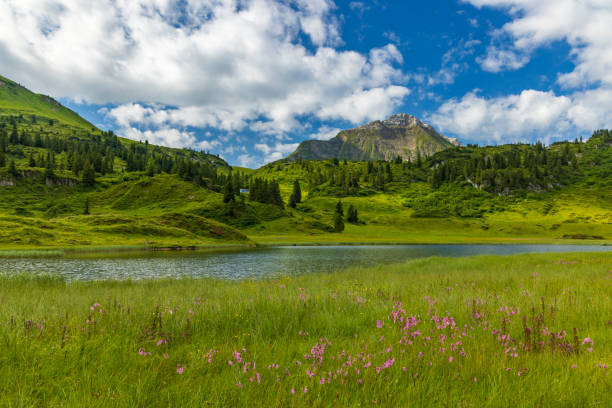 landscapes near kalbelesee, hochtann mountain pass, warth, vorarlberg, austria - kalbelesee foto e immagini stock