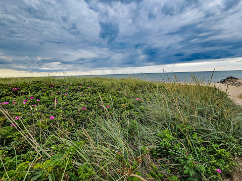 Hvidbjerg Stranden bei Balavand in Dänemark