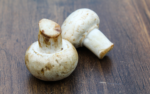 Close-up view of white mushrooms on wooden background