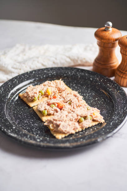 healthy traditional tuna salad with soda crackers - mayo mayonnaise salad plate стоковые фото и изображения