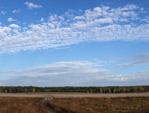 Autumn cloudy windy weather rural landscape with brown and orange meadow and forest. Sky with dark clouds.