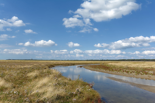 Salt Marsh on Eiderstedt Peninsula close to Sankt Peter-Ording at North Sea in North Frisia,Germany