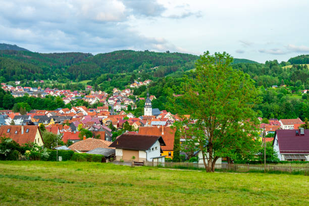istock Summer discovery tour through the Thuringian Forest near Steinbach 1995537870